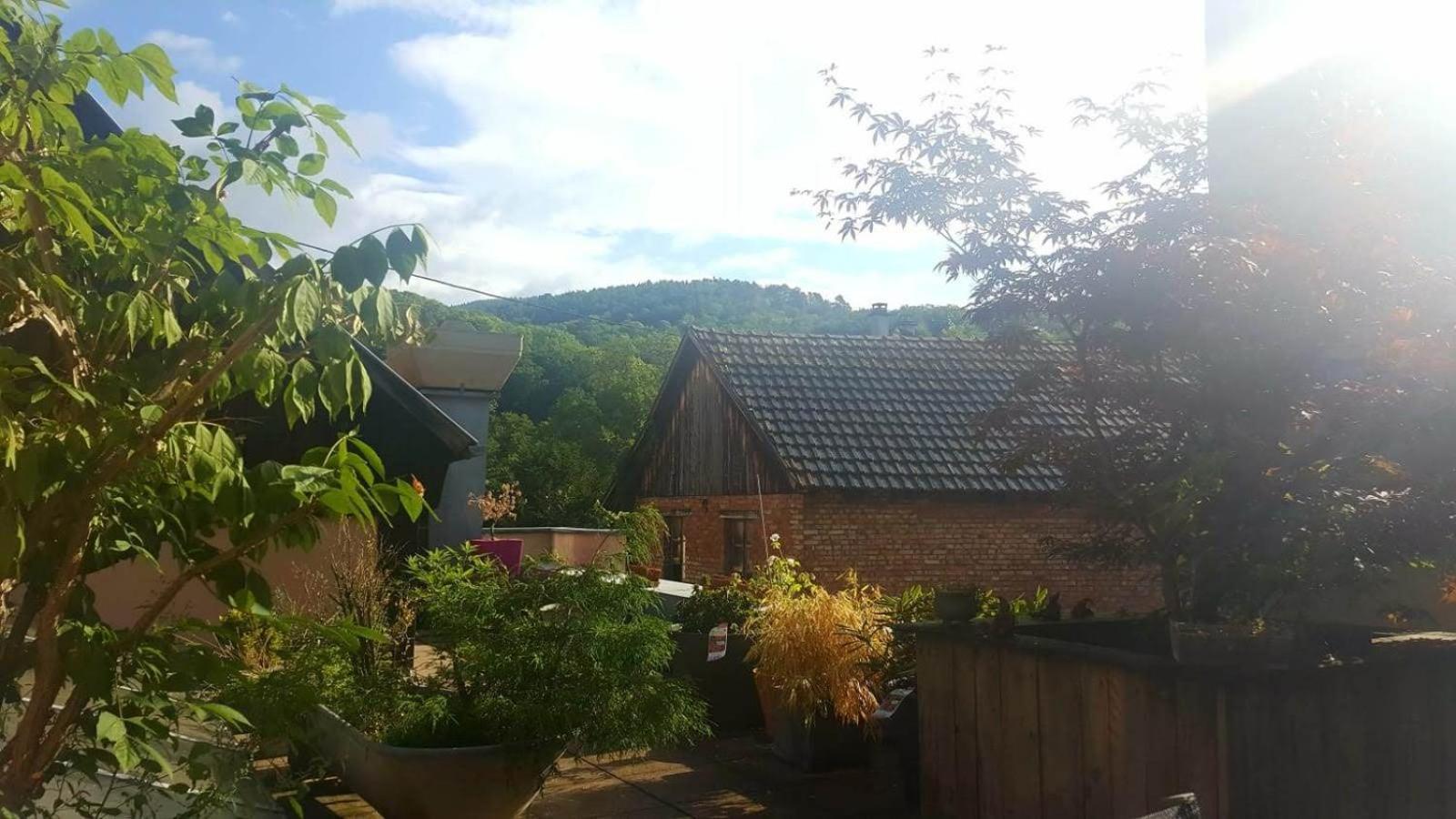 מונסטר "Cote Nature", Appartement Cosy Au Coeur De Munster מראה חיצוני תמונה