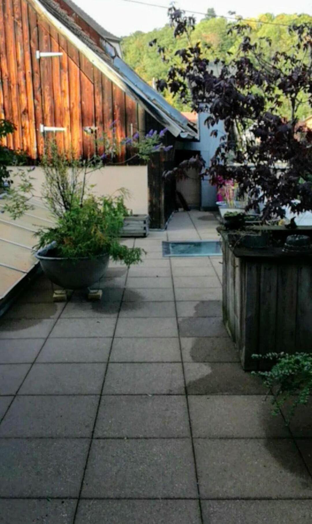 מונסטר "Cote Nature", Appartement Cosy Au Coeur De Munster מראה חיצוני תמונה