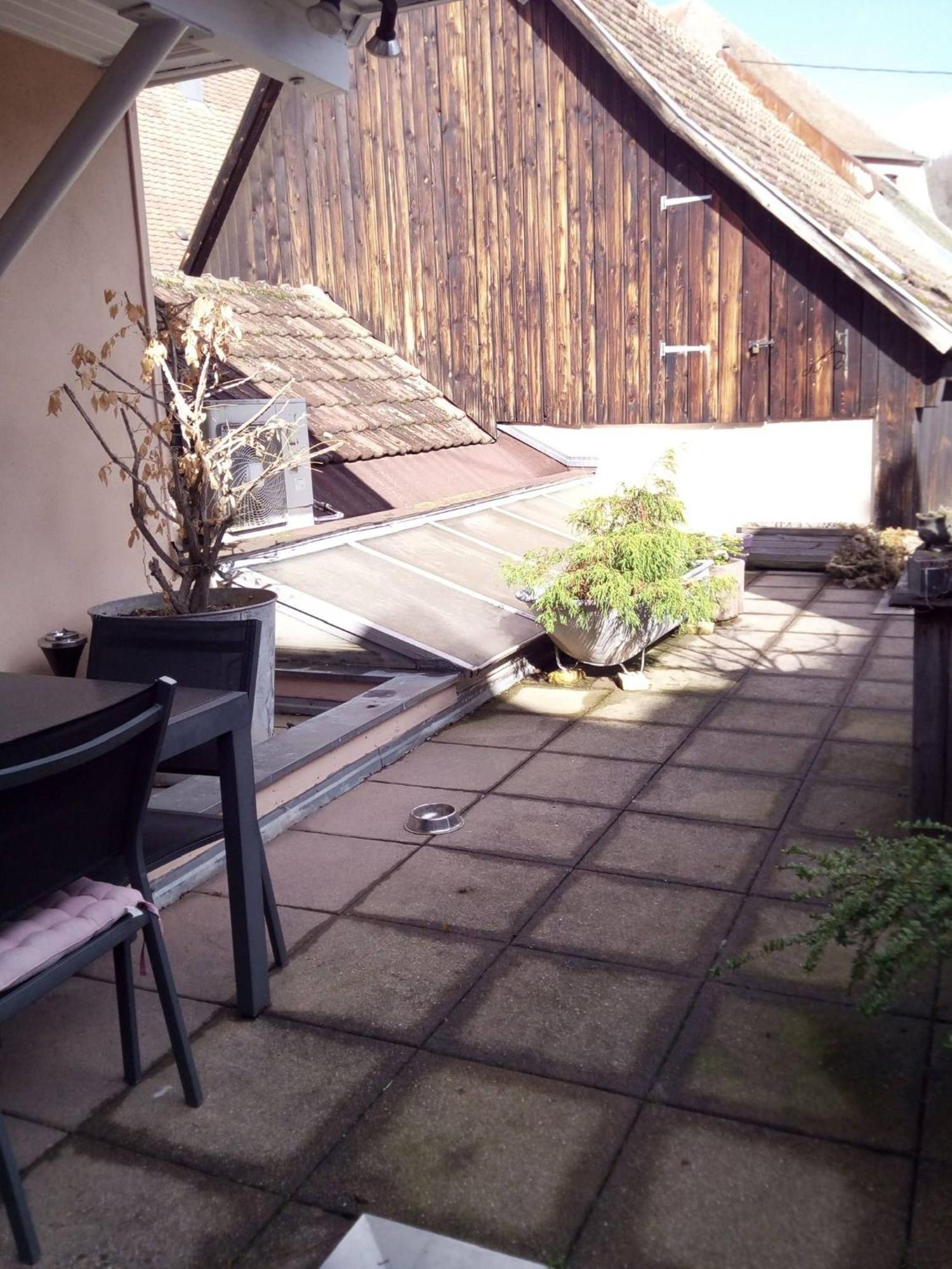 מונסטר "Cote Nature", Appartement Cosy Au Coeur De Munster מראה חיצוני תמונה