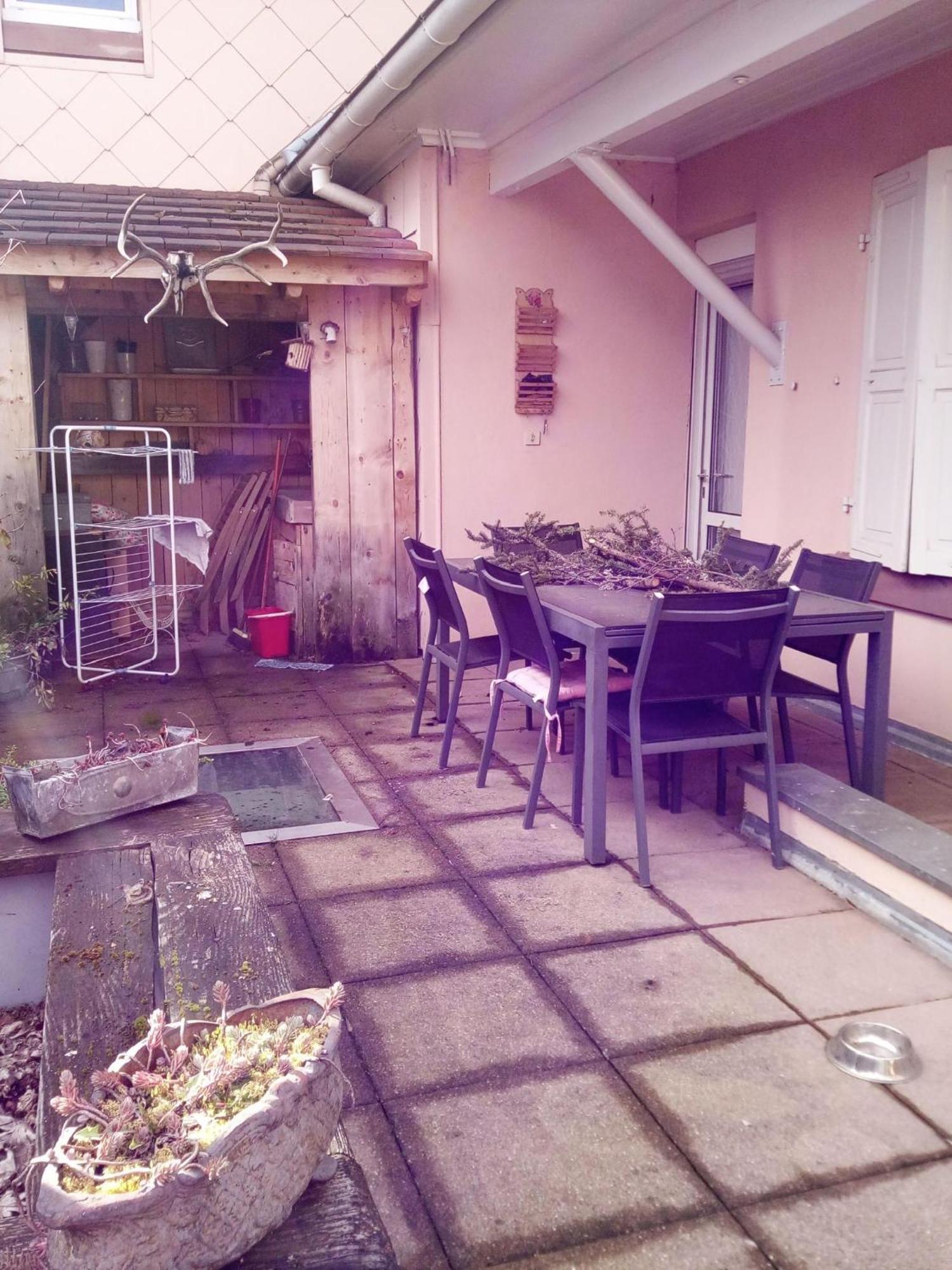מונסטר "Cote Nature", Appartement Cosy Au Coeur De Munster מראה חיצוני תמונה